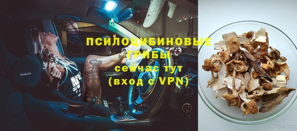 круглые Аркадак