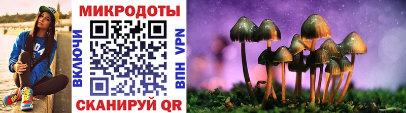 сколько стоит  нарко площадка Telegram  Галлюциногенные грибы Magic Shrooms  Дмитров 