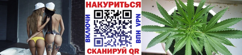 blacksprut ссылка Дмитров Бошки марихуана индика закладки